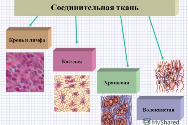 Кракен рабочее на сегодня сайт
