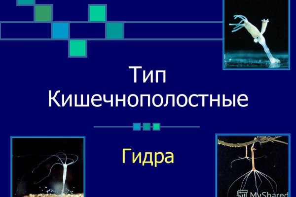 Ссылка на кракен в тор браузере