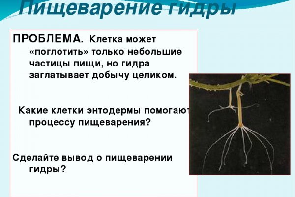 Кракен актуальные