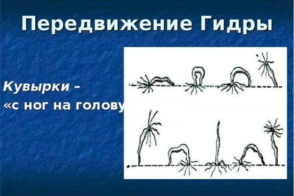 Что такое кракен площадка