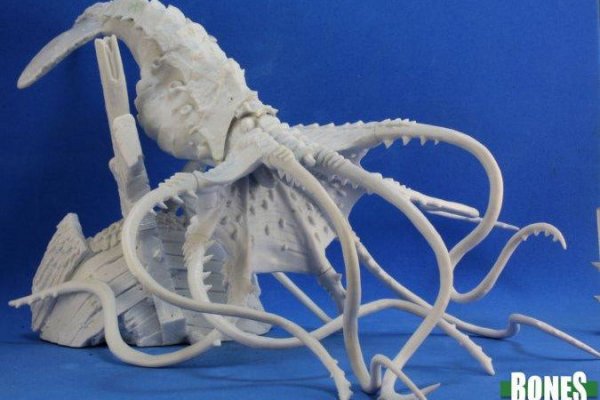 Kraken 23 at