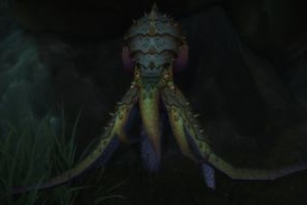 Kraken 12