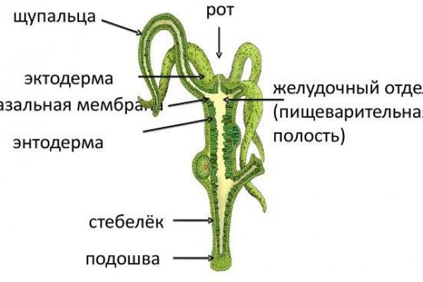 Кракен маркет даркнет слушать