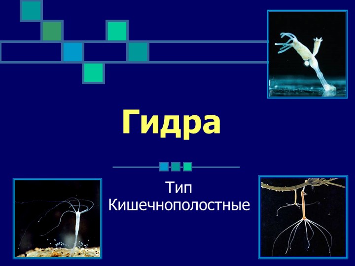 Что с кракеном сайт
