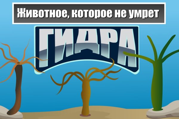 Ссылка на кракен krawebes