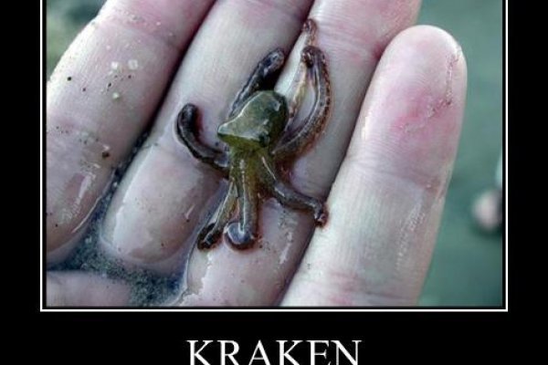 Hydra маркетплейс