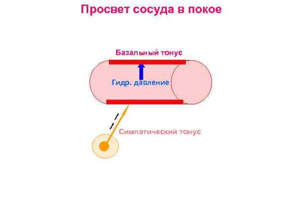 Кракен торговая площадка даркнет
