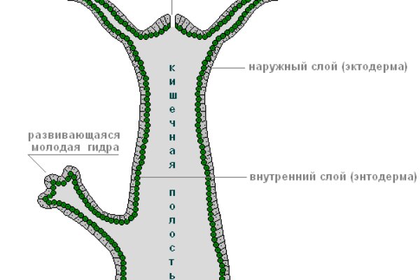 Как подключиться к даркнету