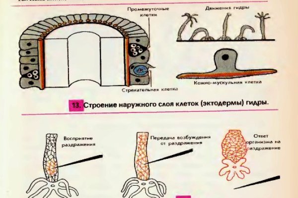 Кракен шоп даркнет