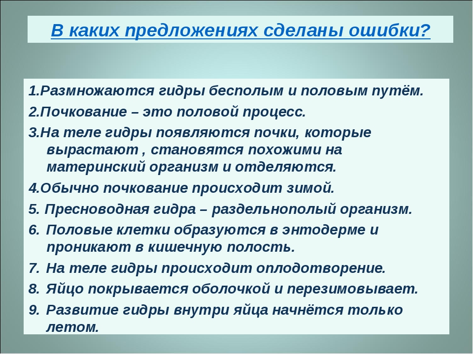 Кракен маркетплейс магазин