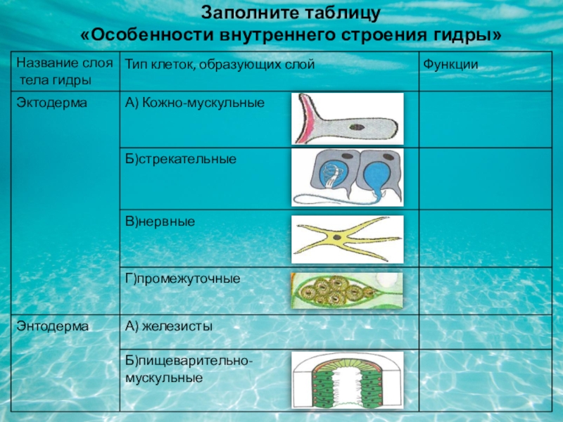 Кракен сайт работает